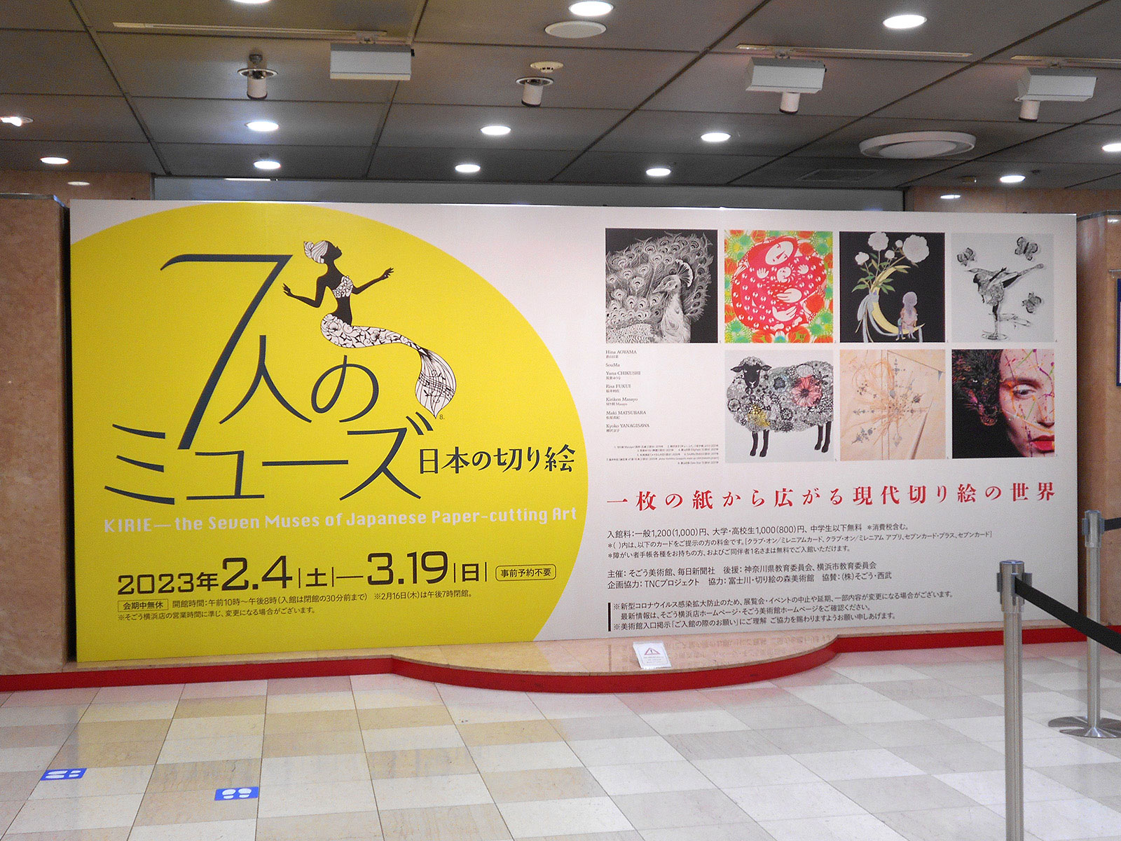 きりかぶ様確認用 抜き出し